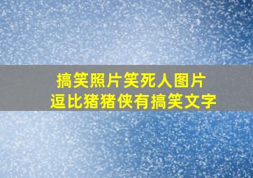 搞笑照片笑死人图片 逗比猪猪侠有搞笑文字